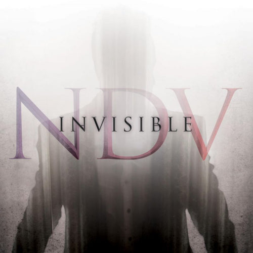 Nick D'virgilio - Invisible (Featuring: Jordan Rudess, Paul Gilbert, Tony Levin CD)