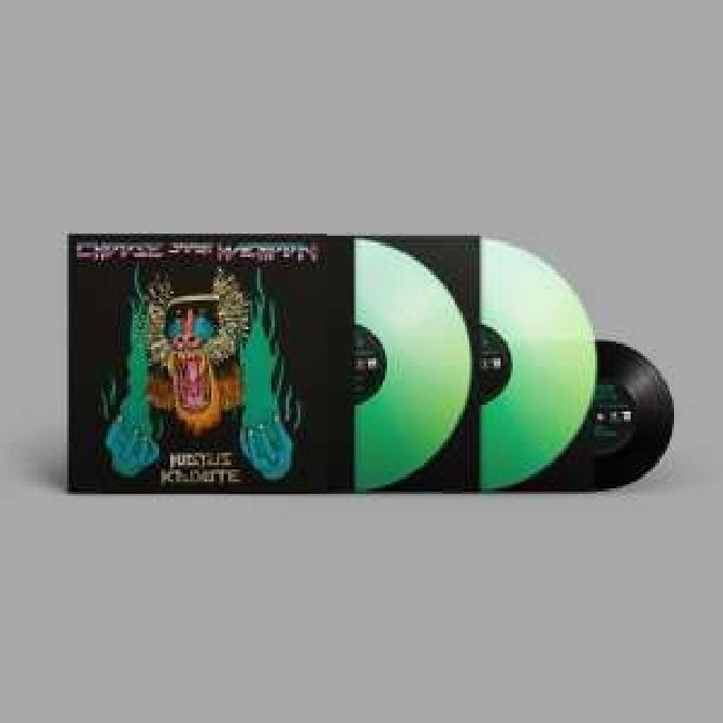 Hiatus Kaiyote - Choose your weapon (LP)