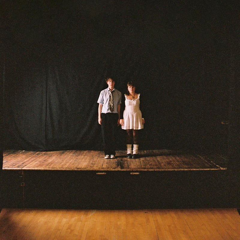 No Windows - The great traitor (LP)
