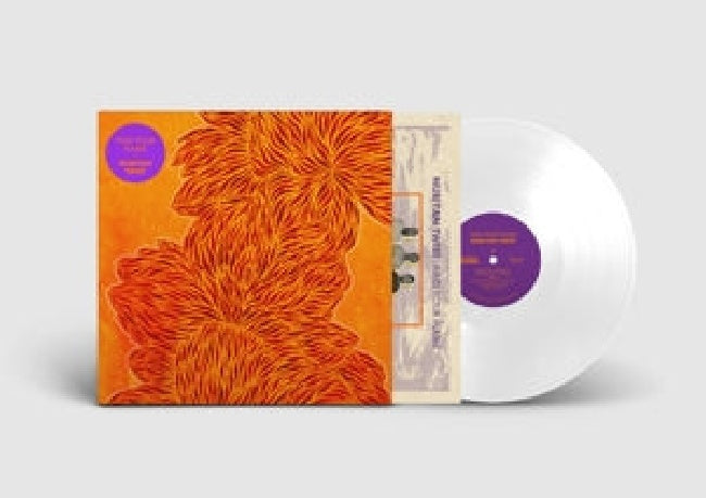 Nubiyan Twist - Find your flame (White, Coloured Vinyl LP)