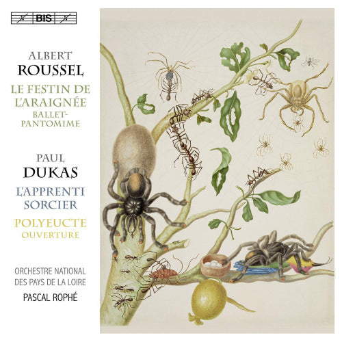 Roussel/dukas - Spider's feast/sorcerer's apprentice (Orchestre National Des Pays De La Loire/Pascal Rophe, Super Audio CD CD)