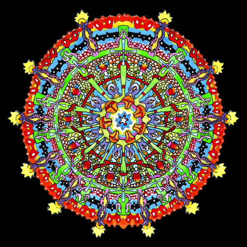 Of Montreal - Hissing fauna, are you the destroyer? (LP)