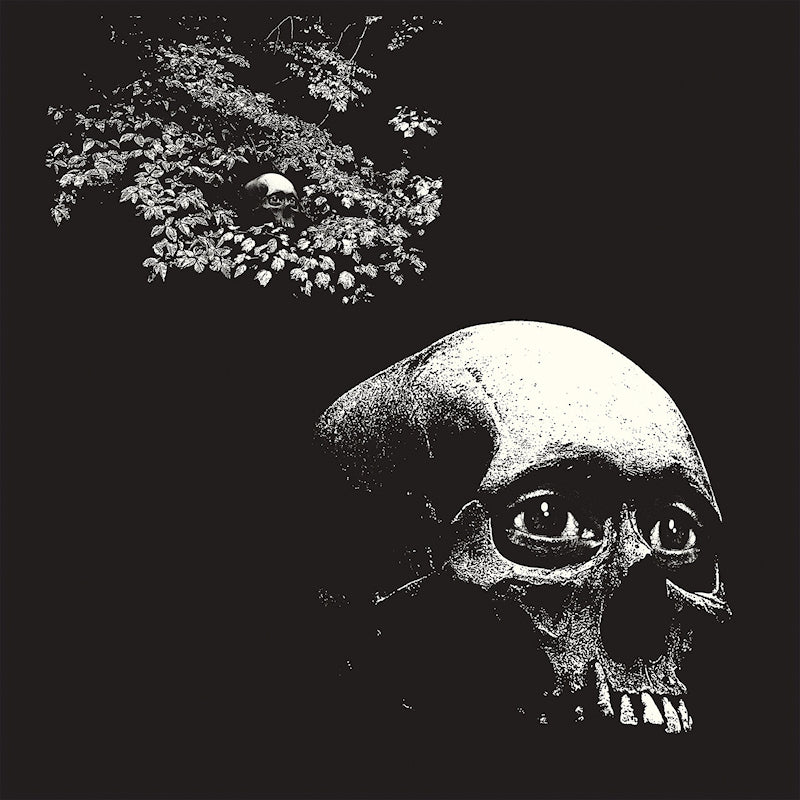 Osees - A foul form (4634056 LP)