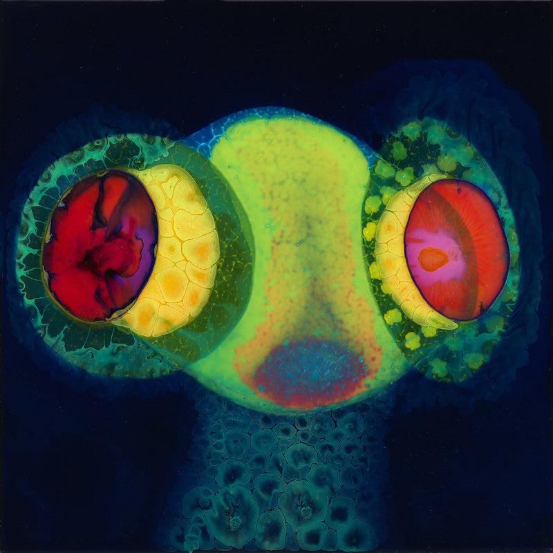 Osees - Sorcs 80 (Green Magenta, Coloured Vinyl LP)