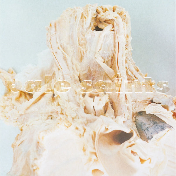 Pale Saints - In ribbons -2023 reissue- (Gatefold Sleeve LP)