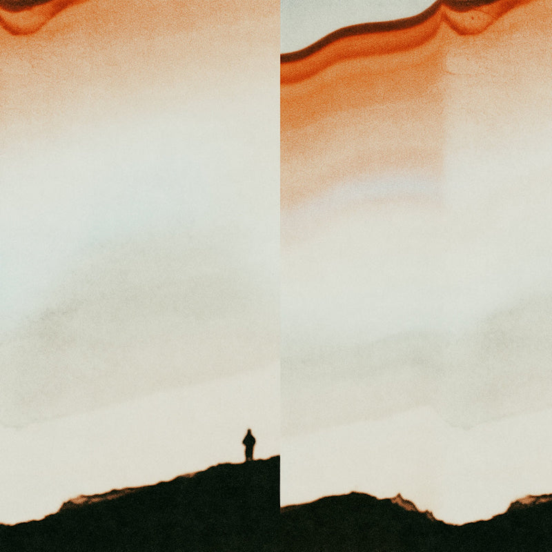Palinstar - Backtrain places (LP)