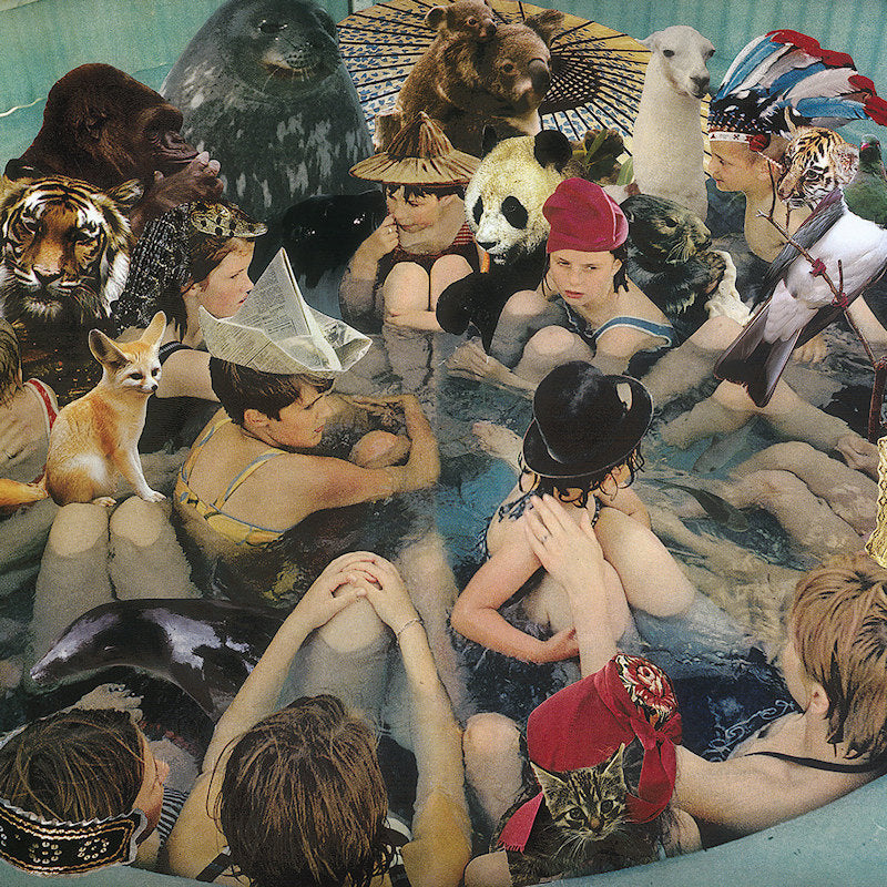 Panda Bear - Person pitch (Download Code LP)