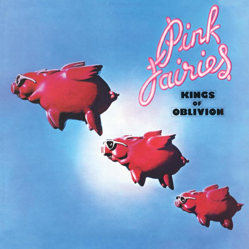 Pink Fairies - Kings of oblivion (CD)