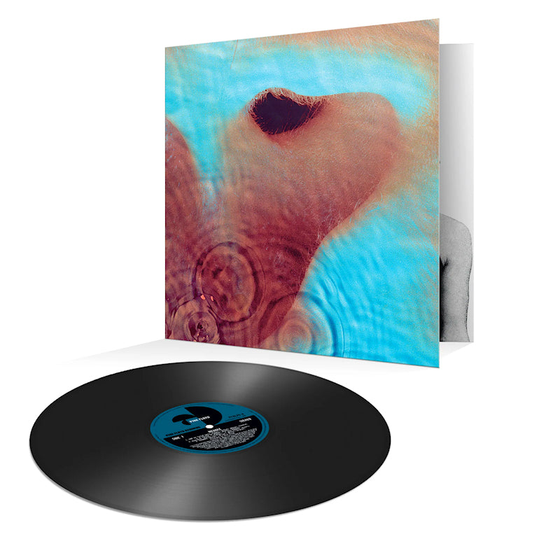 Pink Floyd - Meddle (Reissue LP)