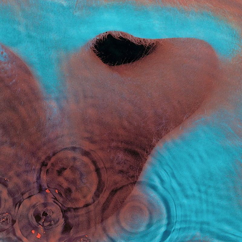 Pink Floyd - Meddle (Reissue CD)