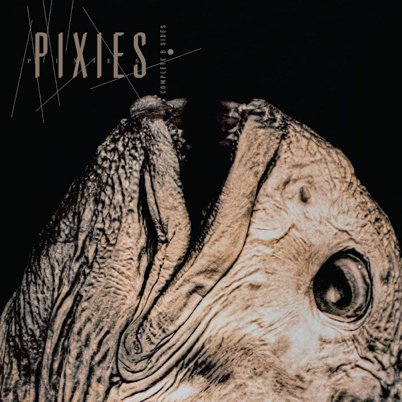 Pixies - Complete b-sides: 1988-97 (CD)