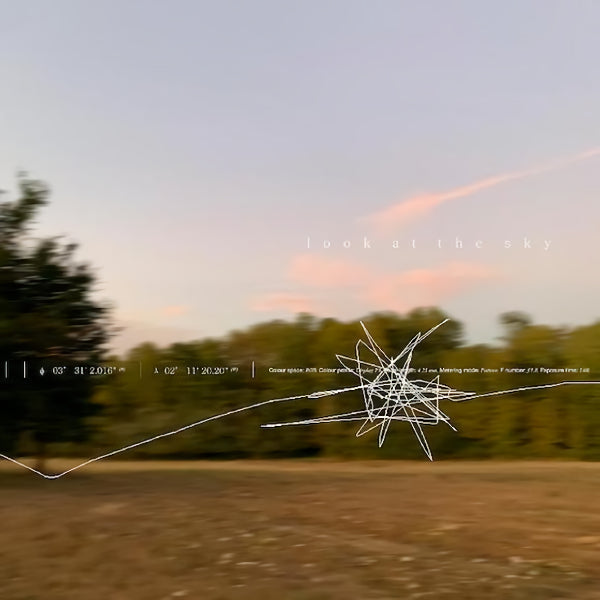Porter Robinson - Look at the sky (7-inch single)