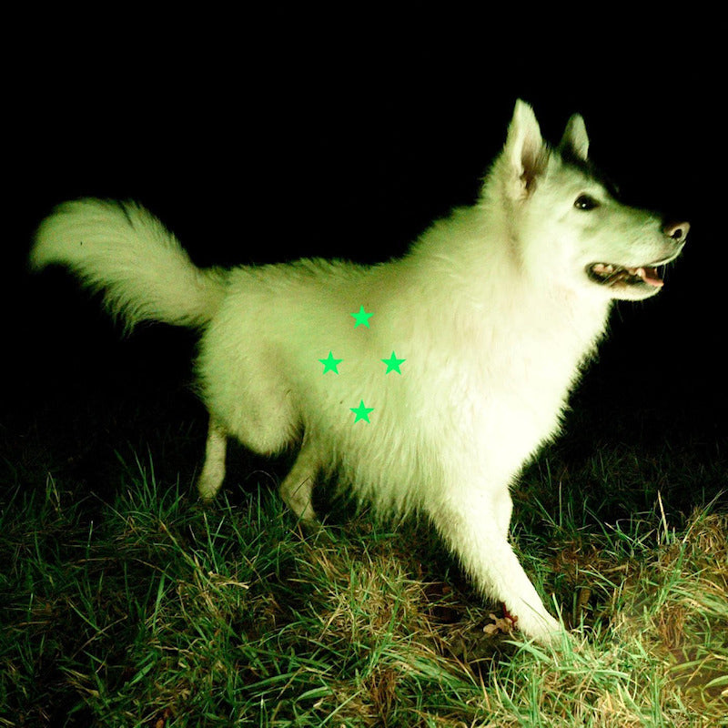 Real Farmer - Compare what's there -fluorescent green vinyl- (Neon Green, Coloured Vinyl LP)