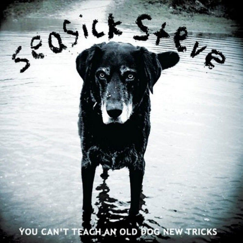Seasick Steve - You can't teach an old dog new trick (LP)
