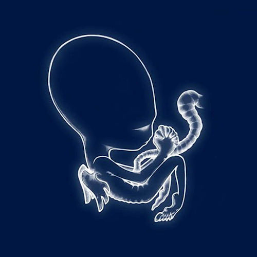 Sigur Ros - Agaetis byrjun (180gr., High Quality LP)