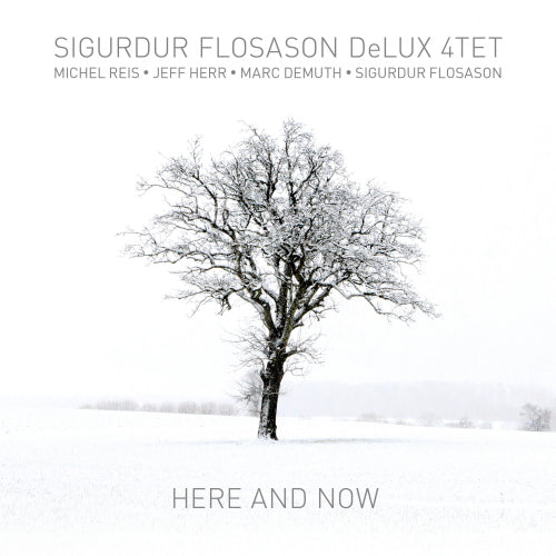 Sigurdur Flosason -delux 4tet- - Here and now (CD)