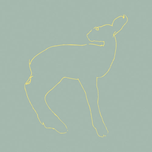 Songs: Ohia - Hecla & griper (Reissue -15th Anniversary Edition- LP)