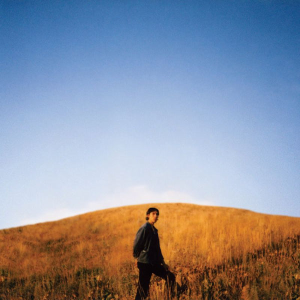 Sam Burton - Dear departed (LP)