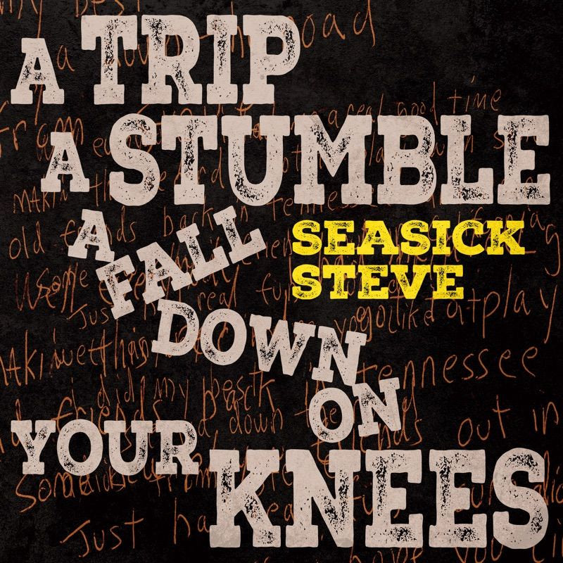 SEASICK STEVE - A TRIP A STUMBLE A FALL DOWN ON YOU (CD)