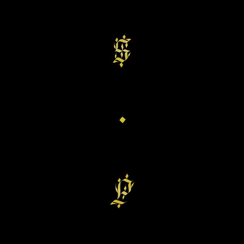 Shabazz Palaces - Black up (CD)