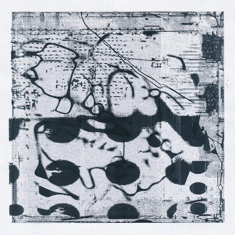 Simon Lanz & Tobias Lanz - Arches (LP)