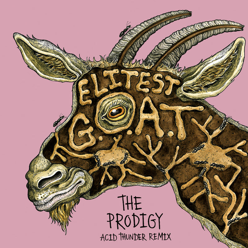 Sleaford Mods Vs The Prodigy Ft. Aldous Harding - Elitest g.o.a.t. (gold) (Coloured Vinyl 7-inch single)