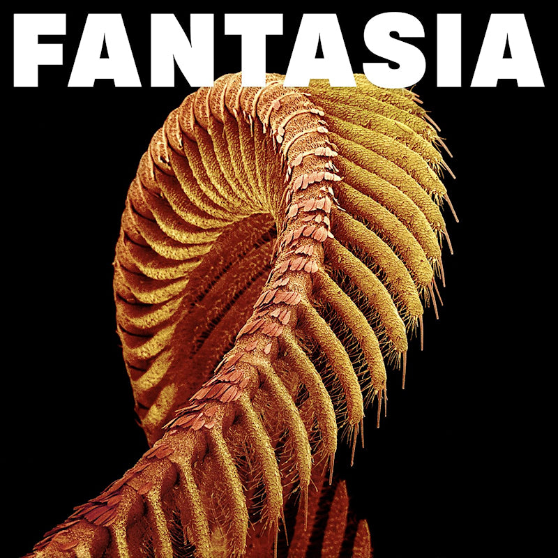 Slift - Fantasia (loser edition)(sparkle starlight) (Coloured Vinyl LP)
