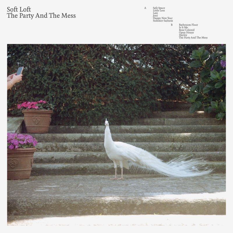 Soft Loft - The party and the mess (CD)