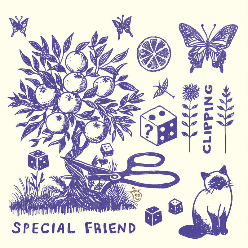 Special Friend - Clipping (LP)