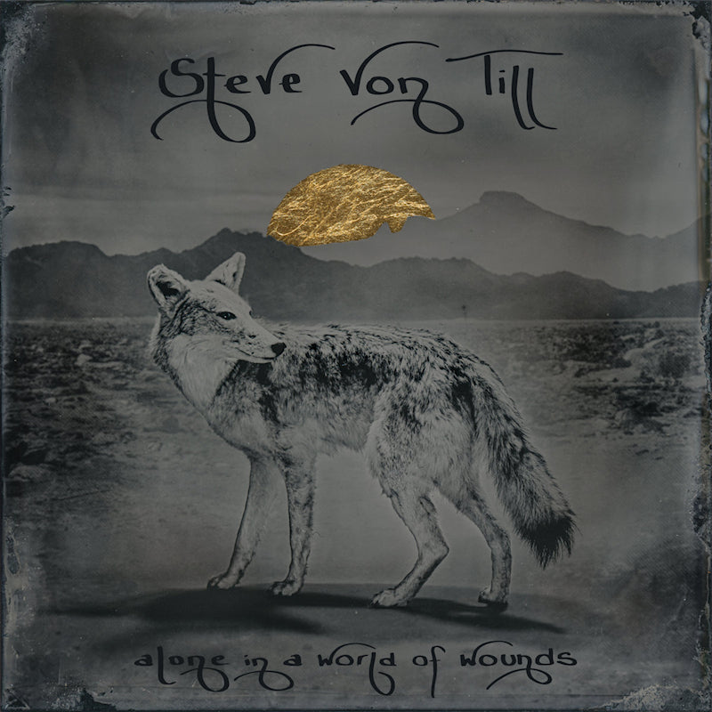 Steve Von Till - Alone in a world of wounds (LP)