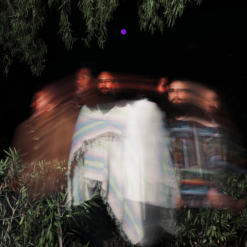 Surya Botofasina & Nate Mercereau & Carlos Nino - Subtle movements (LP)