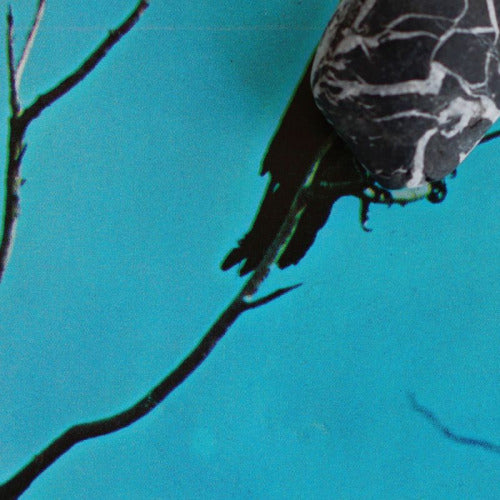 Tangents - Stateless (Triple Gatefold CD Sleeve, Gatefold Sleeve CD)