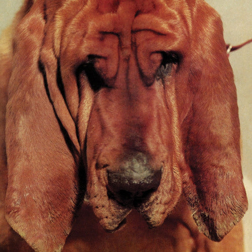 Ty Segall - Goodbye bread (LP)