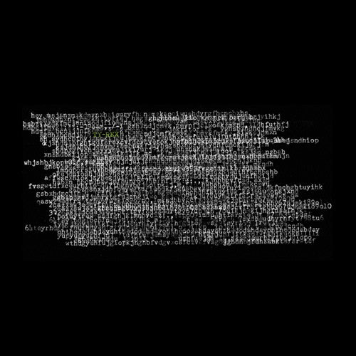 Ty Segall - Ty rex (CD)
