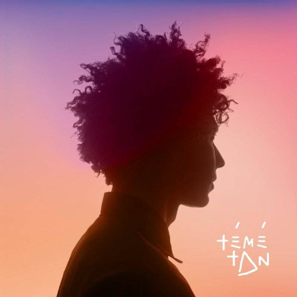 Teme Tan - Teme tan (12-inch maxi-single)