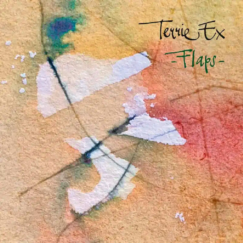 Terrie Ex - Flaps! (CD)