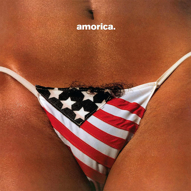The Black Crowes - Amorica (High Quality, Remastered LP)