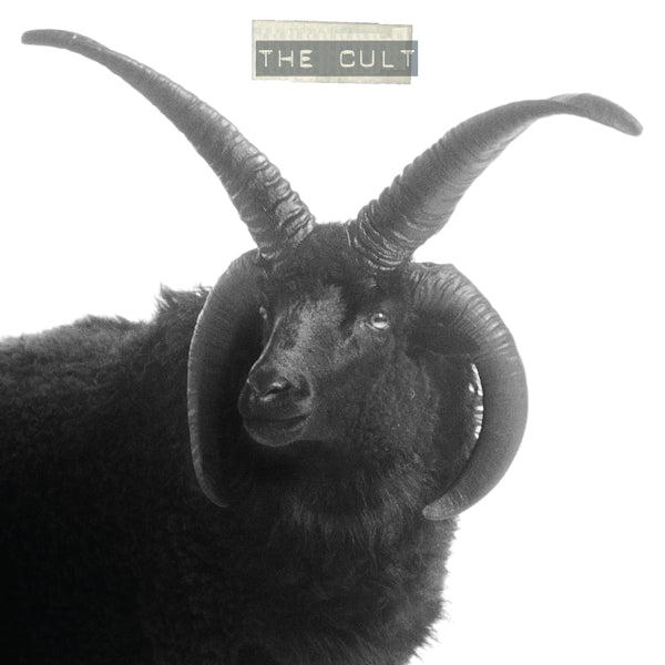 Cult - The Cult (Coloured Vinyl LP)