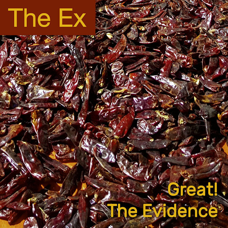 The Ex - Great! (7-inch single)