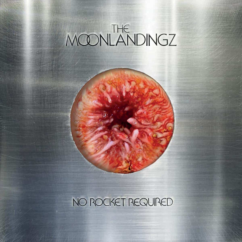 The Moonlandingz - No rocket required (CD)