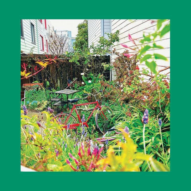 The Reds, Pinks And Purples - Unwishing well (White, Coloured Vinyl LP)