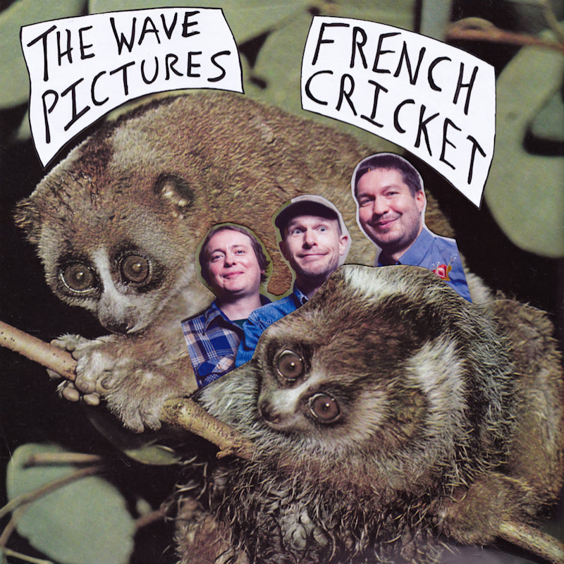 Wave Pictures - 7-french cricket (12-inch maxi-single)
