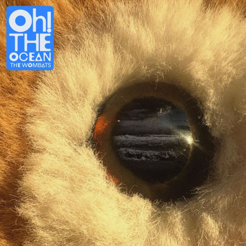 The Wombats - Oh! the ocean (Digipak CD)