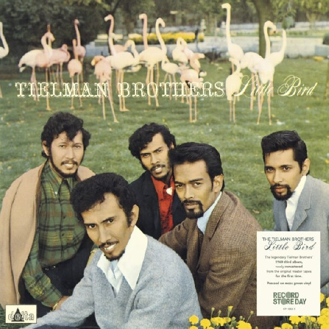 Tielman Brothers - Little Bird (LP)