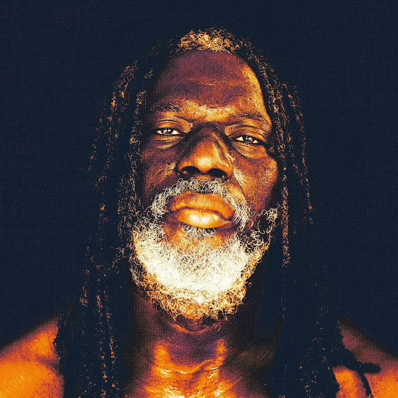 Tiken Jah Fakoly - Braquage de pouvoir (LP)
