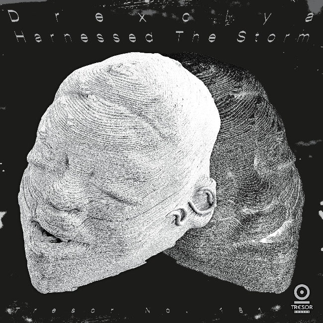 Drexciya - Harnessed the storm (180gr. Silver Pantone, Uv Spot Varnish, High Quality LP)