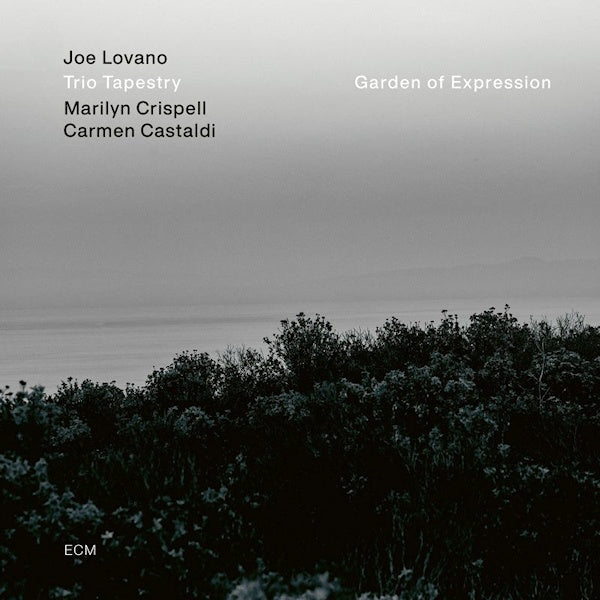 Joe Lovano -trio Tapestry- - Garden of expression (Marilyn Crispell/Carmen Castaldi LP)