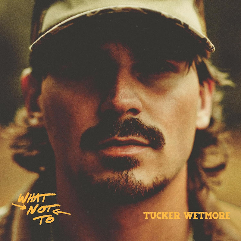 Tucker Wetmore - What not to (LP)