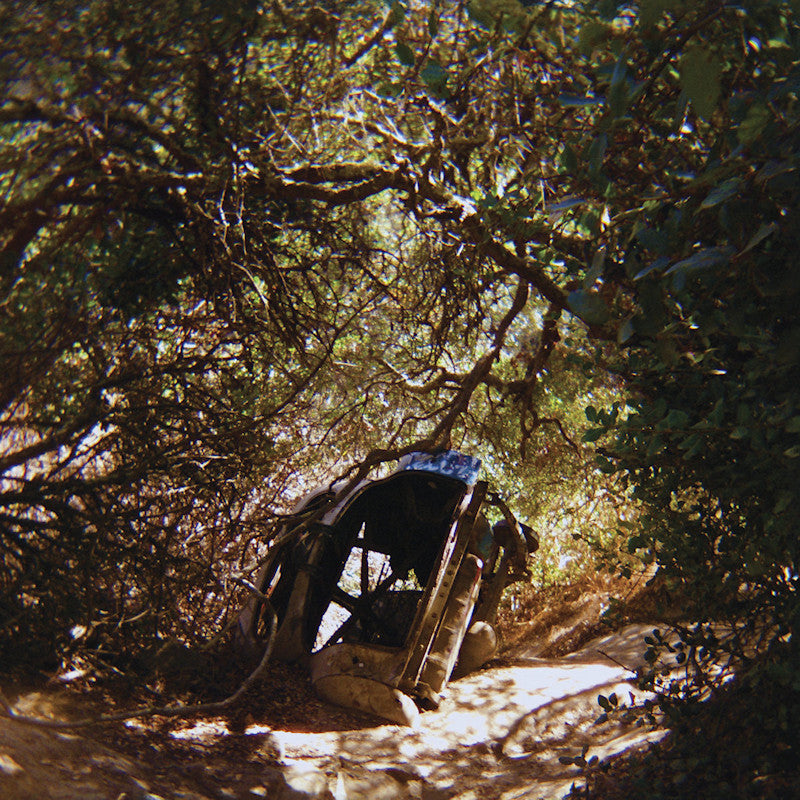 Ty Segall - Possession (Liner Notes Lyrics LP)