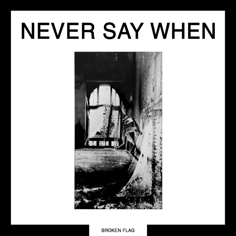 Various - Never say when (LP)
